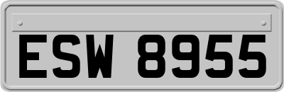 ESW8955