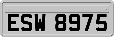 ESW8975