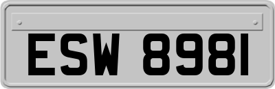 ESW8981