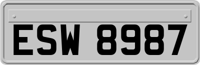ESW8987
