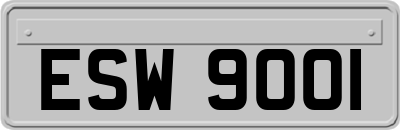 ESW9001