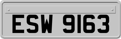 ESW9163