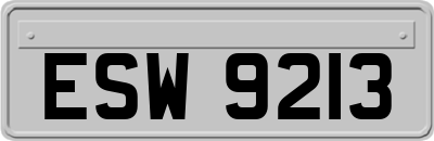 ESW9213