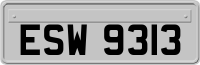 ESW9313