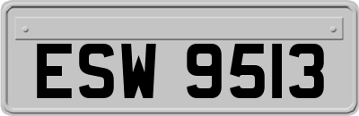 ESW9513