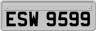 ESW9599