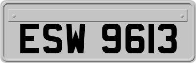ESW9613