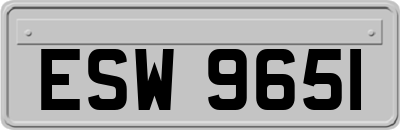 ESW9651