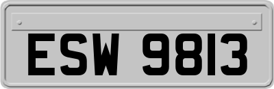 ESW9813