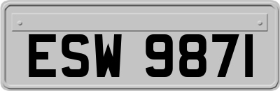 ESW9871