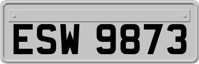 ESW9873