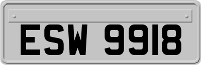 ESW9918