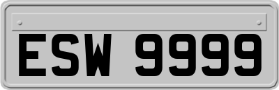 ESW9999