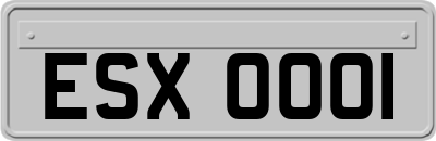 ESX0001
