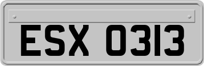 ESX0313