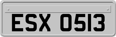 ESX0513