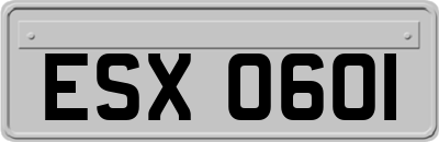 ESX0601