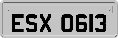 ESX0613