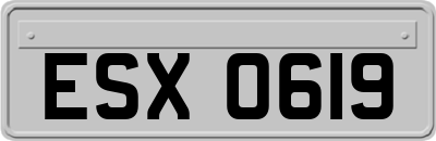 ESX0619