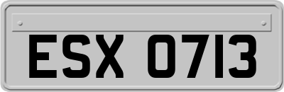 ESX0713