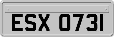 ESX0731