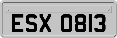 ESX0813