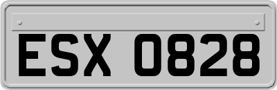ESX0828