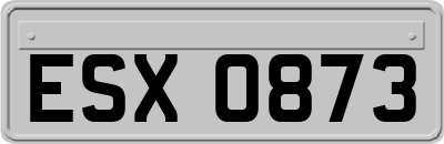 ESX0873