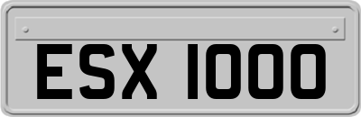 ESX1000