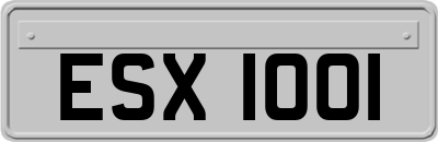ESX1001