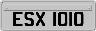 ESX1010