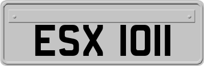 ESX1011