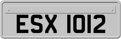 ESX1012