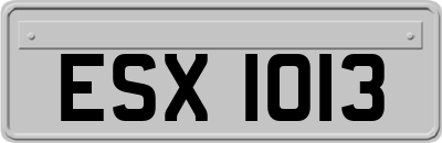 ESX1013