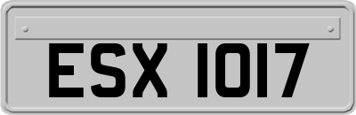 ESX1017
