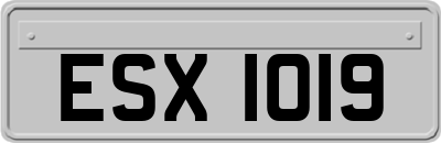 ESX1019