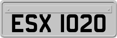 ESX1020