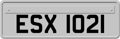 ESX1021