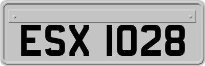 ESX1028