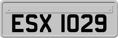 ESX1029