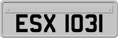 ESX1031