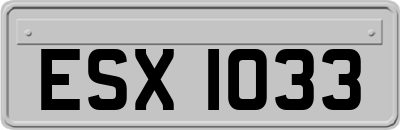 ESX1033