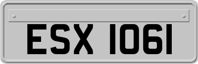 ESX1061