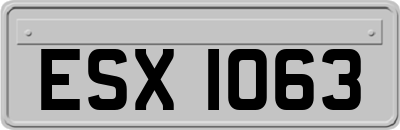 ESX1063