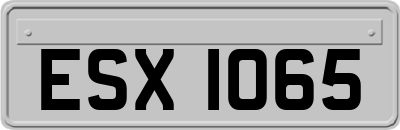 ESX1065