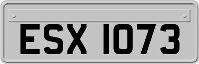 ESX1073