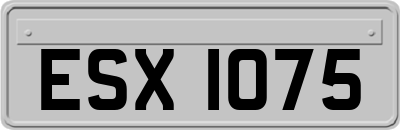 ESX1075