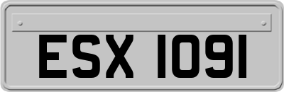 ESX1091