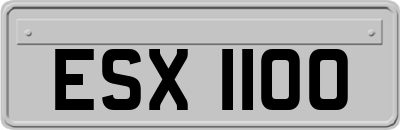 ESX1100