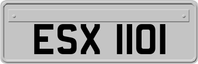 ESX1101